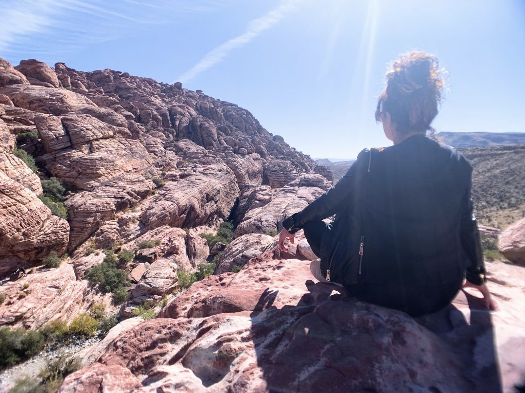 carmen ballering seminars and workshops